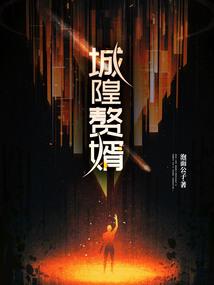 贼骑