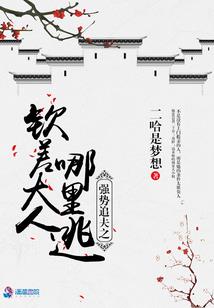一头猪的降魔史
