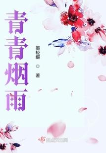腹黑琴妃