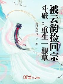 海贼之财富系统