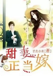 魔族公主不是贼