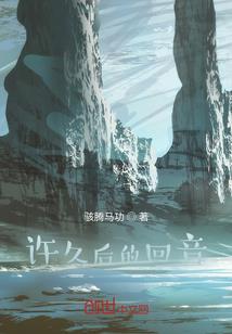 火影之双重鸣人