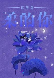 鸿凰飞
