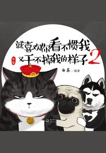 极品女神攻略