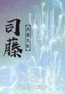 重生之光明主宰