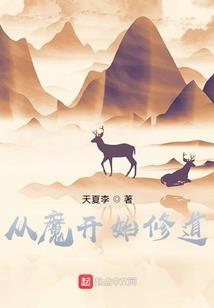 穿越之乱世不留情
