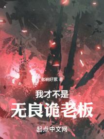念武记