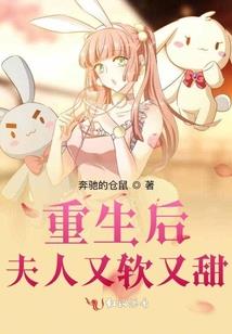 海贼王之重造海军