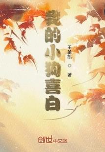 哈喽灰姑娘