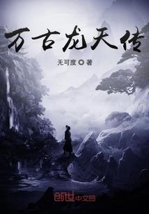 九天之境