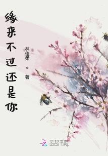 无限世界的代行者