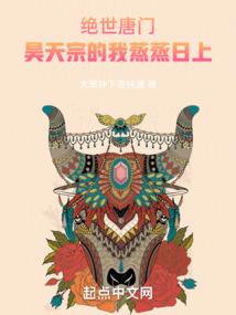 宠物小精灵之征服之路