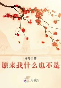 沐大总裁太花心：重生安安很绝情