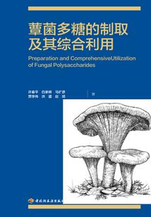 我和你的两个世界