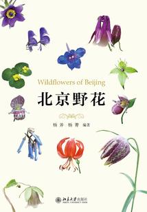 超能神戒