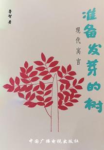 阴间精装修