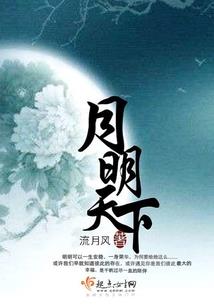 高米迪之折翼的天空