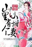 盛世宁逸