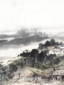 我的世界D
