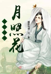 我不是汇神