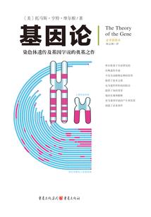 一个九零后的人