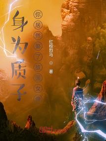 大齐风云录