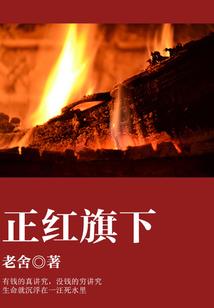 无法偿还的情债