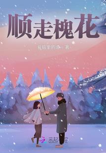 蕾丝发带