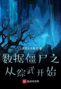 烟云锁，半城惊华(合作)