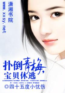 南天一梦录