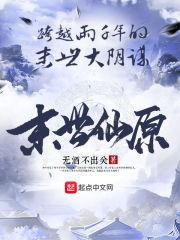 数值宇宙大爆炸