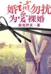 最终之暗黑进化