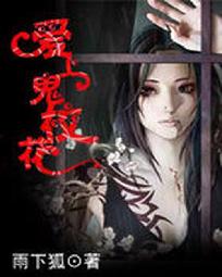 天降全职系统
