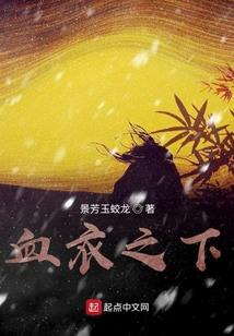 海贼王之偷天