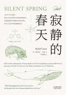 肤浅者