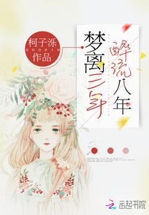 盖世战婿