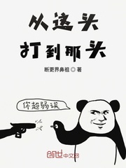花果山的那块石头