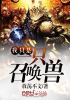 大紫三国