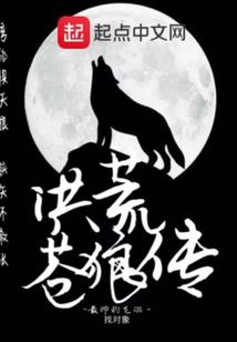 献给X