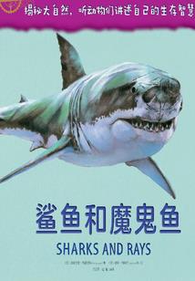 清风之暗光大陆