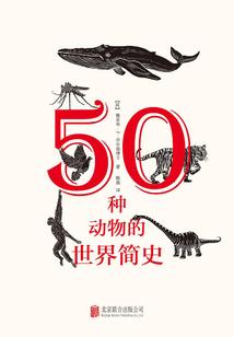 异能师之人设师