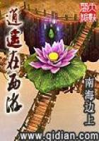 光夏之路