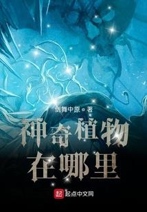 守望先锋之高手再起