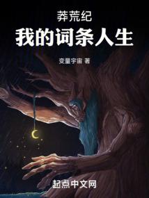 宠物小精灵之暗天
