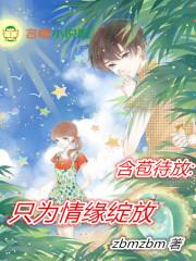 半夏旧忆