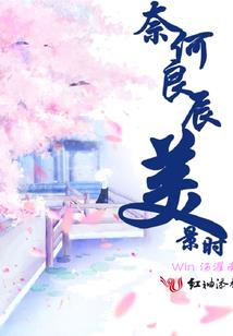 光明正大的抽她