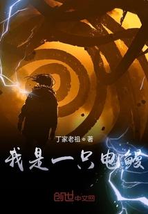 总裁大人不太冷