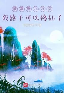 大宋中兴传