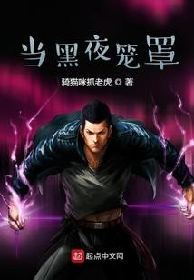 全能佣兵杀手