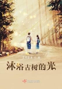 穿越之愿负天下不负卿